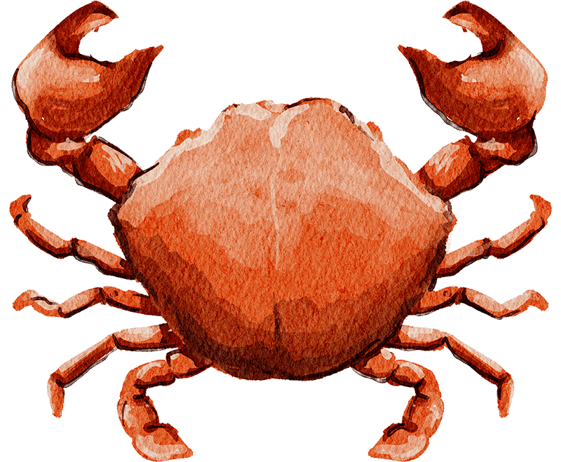 seafood-restaurant-15